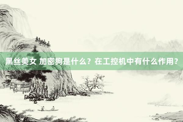 黑丝美女 加密狗是什么？在工控机中有什么作用？