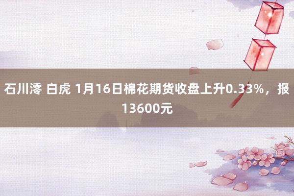 石川澪 白虎 1月16日棉花期货收盘上升0.33%，报13600元