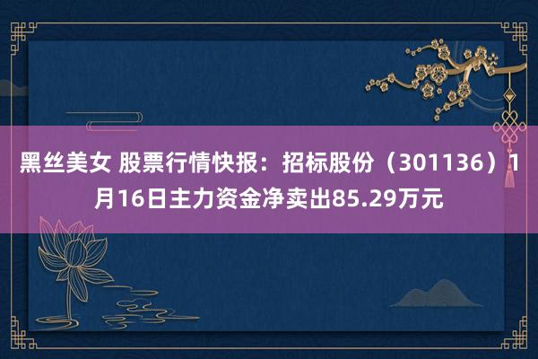黑丝美女 股票行情快报：招标股份（301136）1月16日主力资金净卖出85.29万元