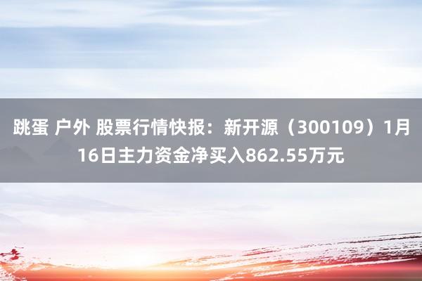 跳蛋 户外 股票行情快报：新开源（300109）1月16日主力资金净买入862.55万元