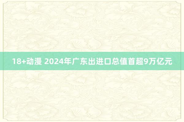 18+动漫 2024年广东出进口总值首超9万亿元