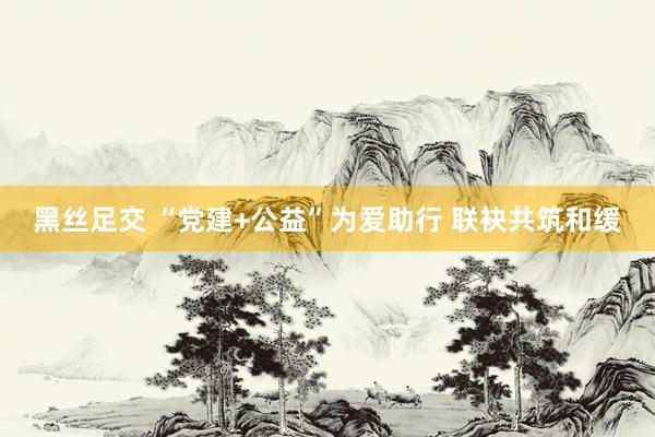 黑丝足交 “党建+公益”为爱助行 联袂共筑和缓