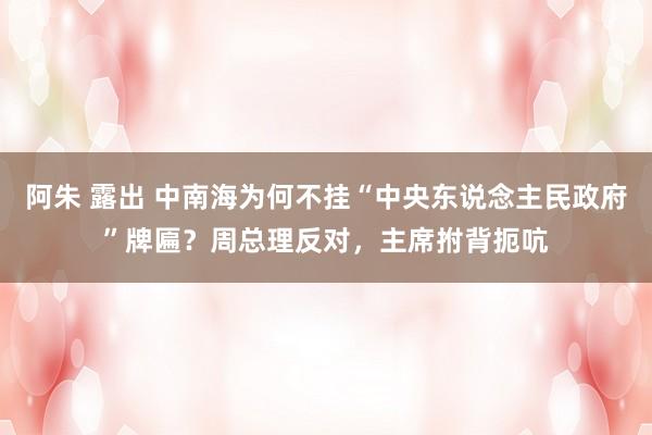 阿朱 露出 中南海为何不挂“中央东说念主民政府”牌匾？周总理反对，主席拊背扼吭
