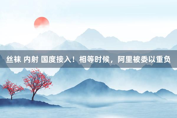 丝袜 内射 国度接入！相等时候，阿里被委以重负