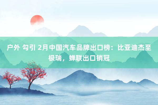 户外 勾引 2月中国汽车品牌出口榜：比亚迪杰至极瑞，蝉联出口销冠