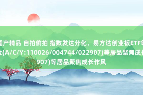 国产精品 自拍偷拍 指数发达分化，易方达创业板ETF邻接基金(A/C/Y:110026/004744/022907)等居品聚焦成长作风