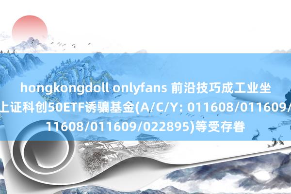 hongkongdoll onlyfans 前沿技巧成工业坐蓐新引擎，易方达上证科创50ETF诱骗基金(A/C/Y: 011608/011609/022895)等受存眷