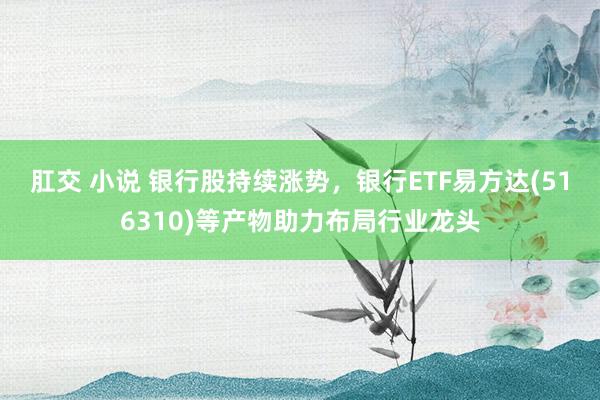 肛交 小说 银行股持续涨势，银行ETF易方达(516310)等产物助力布局行业龙头