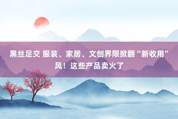 黑丝足交 服装、家居、文创界限掀翻“新收用”风！这些产品卖火了
