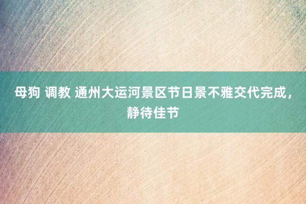 母狗 调教 通州大运河景区节日景不雅交代完成，静待佳节