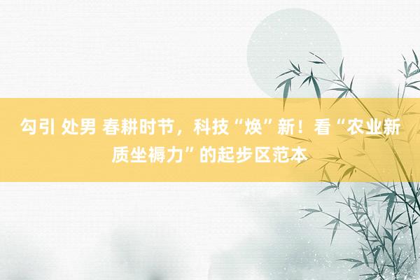 勾引 处男 春耕时节，科技“焕”新！看“农业新质坐褥力”的起步区范本