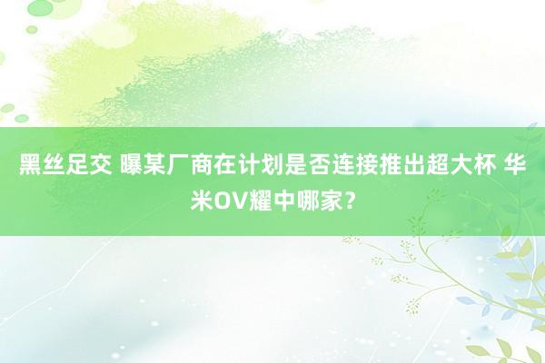 黑丝足交 曝某厂商在计划是否连接推出超大杯 华米OV耀中哪家？