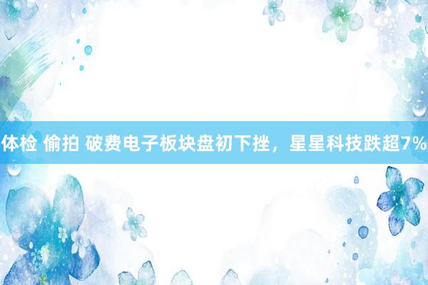 体检 偷拍 破费电子板块盘初下挫，星星科技跌超7%