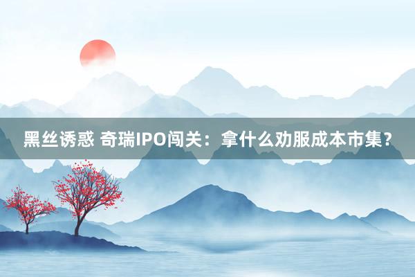 黑丝诱惑 奇瑞IPO闯关：拿什么劝服成本市集？