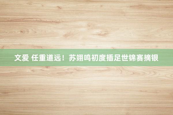 文爱 任重道远！苏翊鸣初度插足世锦赛摘银
