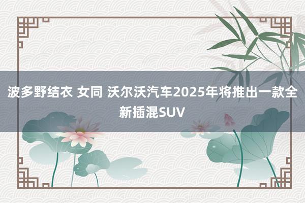 波多野结衣 女同 沃尔沃汽车2025年将推出一款全新插混SUV