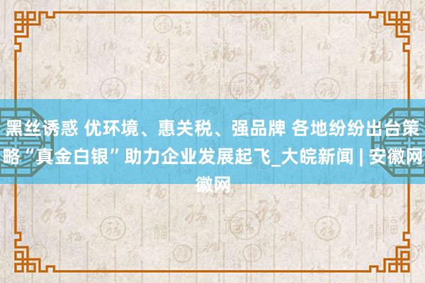 黑丝诱惑 优环境、惠关税、强品牌 各地纷纷出台策略“真金白银”助力企业发展起飞_大皖新闻 | 安徽网