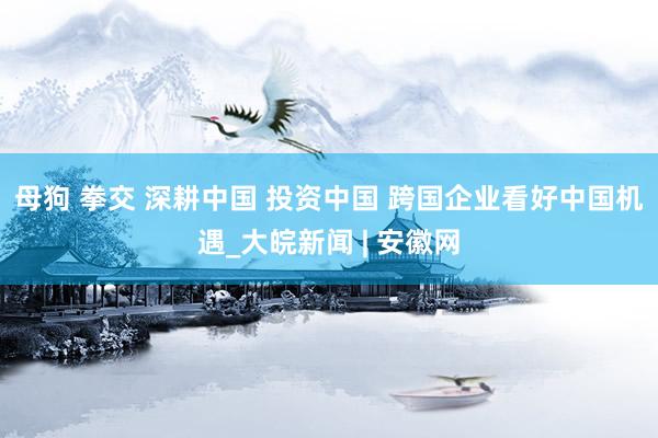 母狗 拳交 深耕中国 投资中国 跨国企业看好中国机遇_大皖新闻 | 安徽网