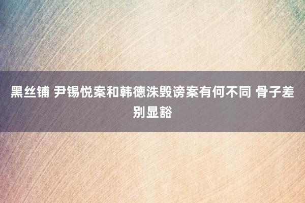 黑丝铺 尹锡悦案和韩德洙毁谤案有何不同 骨子差别显豁