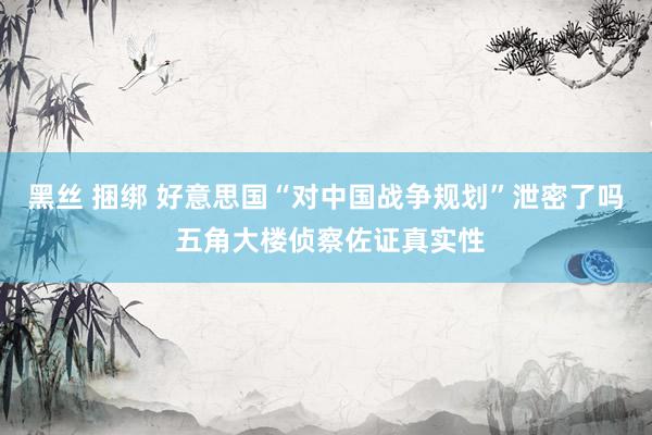黑丝 捆绑 好意思国“对中国战争规划”泄密了吗 五角大楼侦察佐证真实性