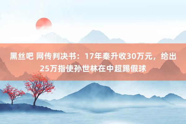 黑丝吧 网传判决书：17年秦升收30万元，给出25万指使孙世林在中超踢假球