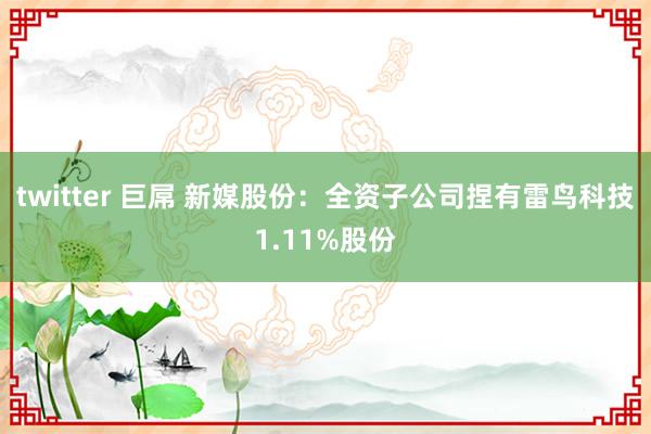 twitter 巨屌 新媒股份：全资子公司捏有雷鸟科技1.11%股份