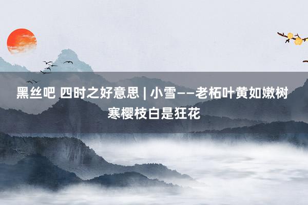 黑丝吧 四时之好意思 | 小雪——老柘叶黄如嫩树 寒樱枝白是狂花