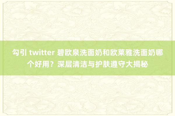 勾引 twitter 碧欧泉洗面奶和欧莱雅洗面奶哪个好用？深层清洁与护肤遵守大揭秘