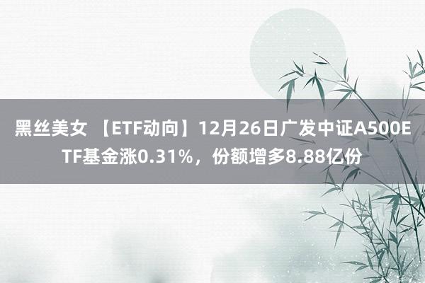 黑丝美女 【ETF动向】12月26日广发中证A500ETF基金涨0.31%，份额增多8.88亿份