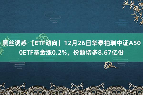黑丝诱惑 【ETF动向】12月26日华泰柏瑞中证A500ETF基金涨0.2%，份额增多8.67亿份