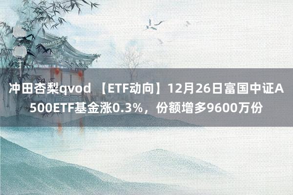 冲田杏梨qvod 【ETF动向】12月26日富国中证A500ETF基金涨0.3%，份额增多9600万份