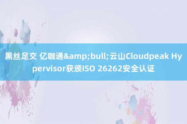 黑丝足交 亿咖通&bull;云山Cloudpeak Hypervisor获颁ISO 26262安全认证