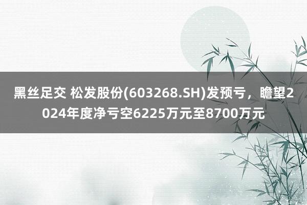 黑丝足交 松发股份(603268.SH)发预亏，瞻望2024年度净亏空6225万元至8700万元