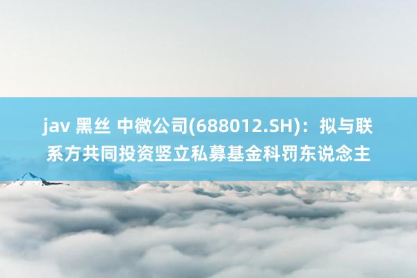 jav 黑丝 中微公司(688012.SH)：拟与联系方共同投资竖立私募基金科罚东说念主