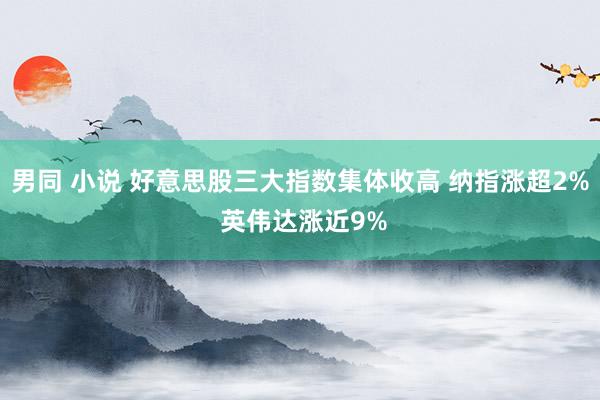 男同 小说 好意思股三大指数集体收高 纳指涨超2% 英伟达涨近9%