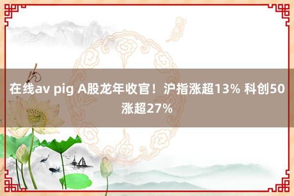 在线av pig A股龙年收官！沪指涨超13% 科创50涨超27%