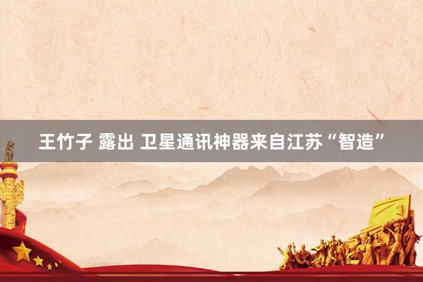 王竹子 露出 卫星通讯神器来自江苏“智造”
