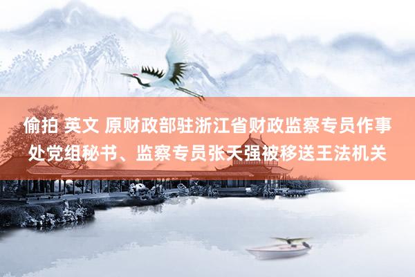 偷拍 英文 原财政部驻浙江省财政监察专员作事处党组秘书、监察专员张天强被移送王法机关