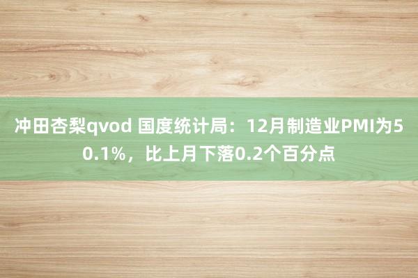 冲田杏梨qvod 国度统计局：12月制造业PMI为50.1%，比上月下落0.2个百分点