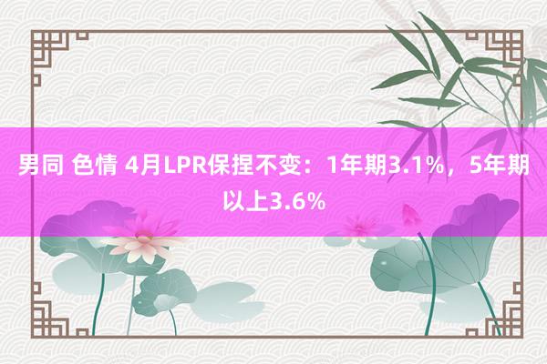 男同 色情 4月LPR保捏不变：1年期3.1%，5年期以上3.6%