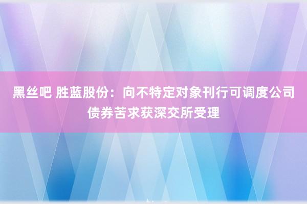 黑丝吧 胜蓝股份：向不特定对象刊行可调度公司债券苦求获深交所受理