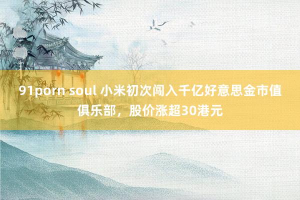 91porn soul 小米初次闯入千亿好意思金市值俱乐部，股价涨超30港元