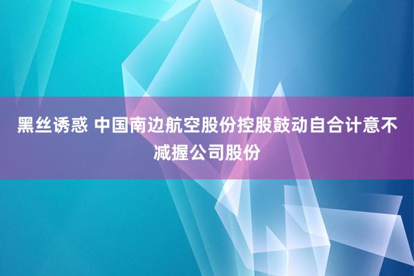 黑丝诱惑 中国南边航空股份控股鼓动自合计意不减握公司股份