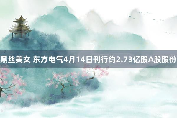 黑丝美女 东方电气4月14日刊行约2.73亿股A股股份