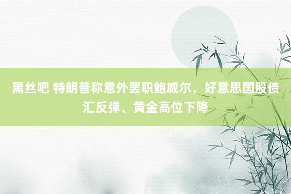 黑丝吧 特朗普称意外罢职鲍威尔，好意思国股债汇反弹、黄金高位下降