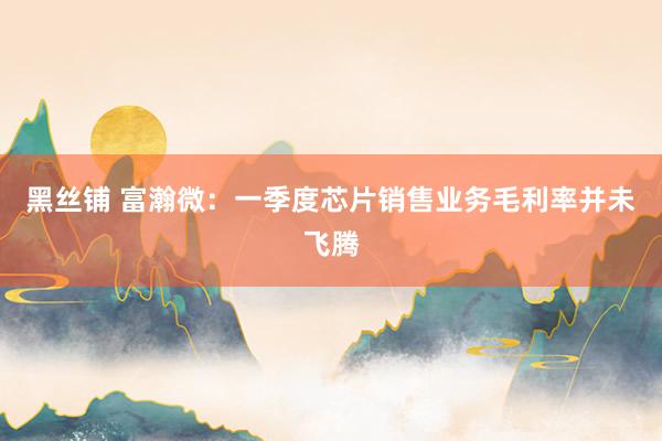 黑丝铺 富瀚微：一季度芯片销售业务毛利率并未飞腾
